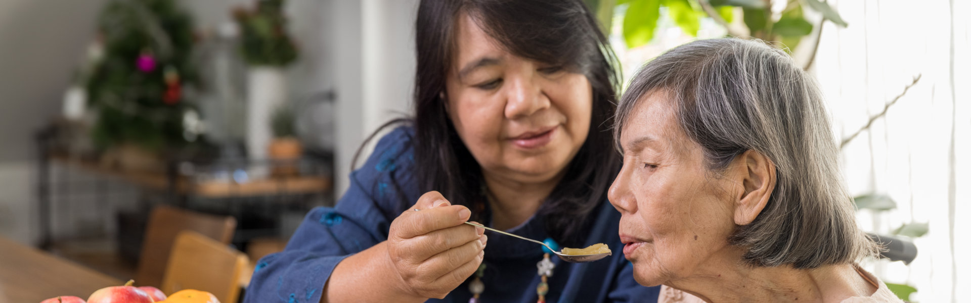 Daughter feeding elderly mother with soup at home.